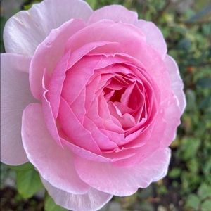 Reasonable offers are accepted !:)